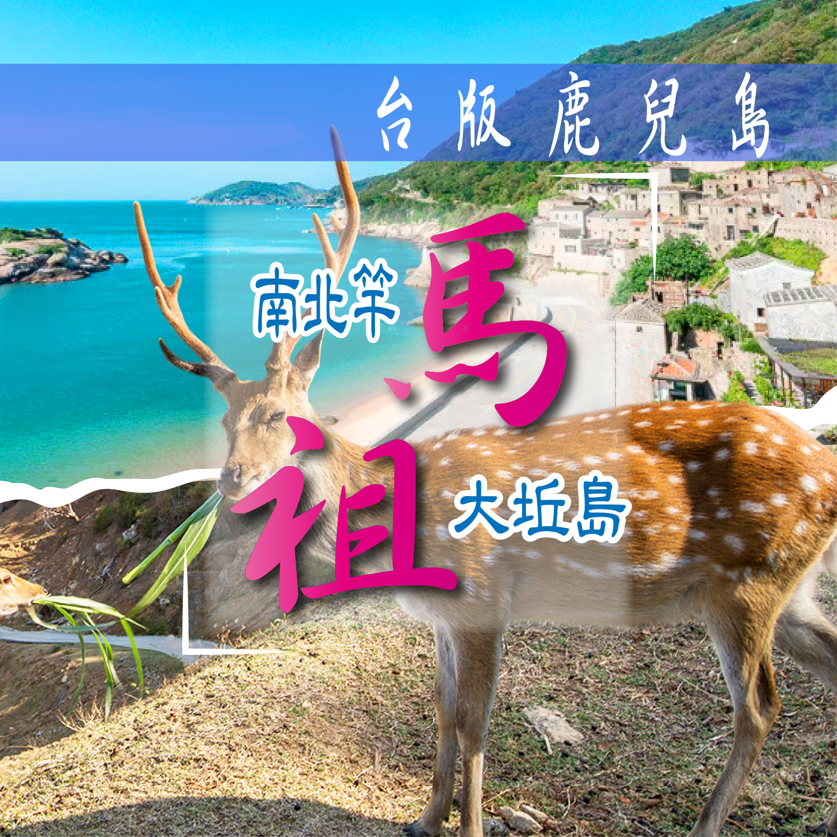 南北竿、尋訪梅花鹿大坵島三日