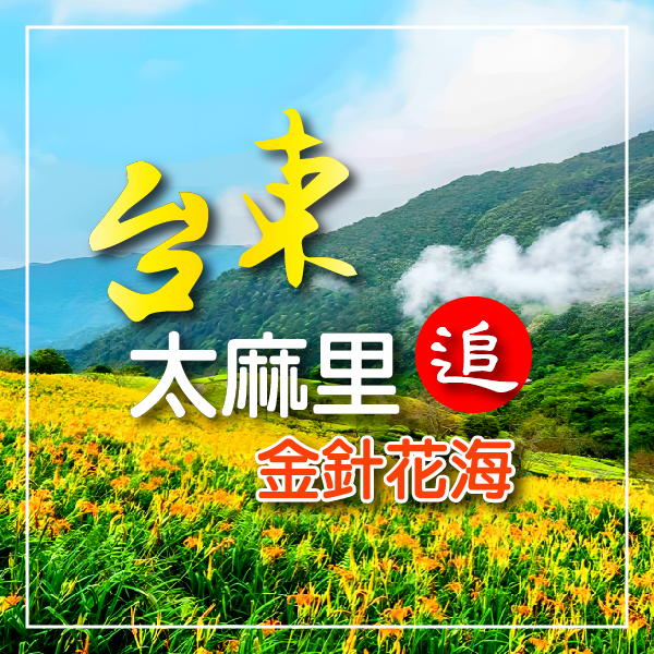 台東美翻天～太麻里金針花海.宜灣卡片教堂.鹿野神社.阿榮甘仔店.台東鐵花文創館&五星知本金聯3日(火車來回)