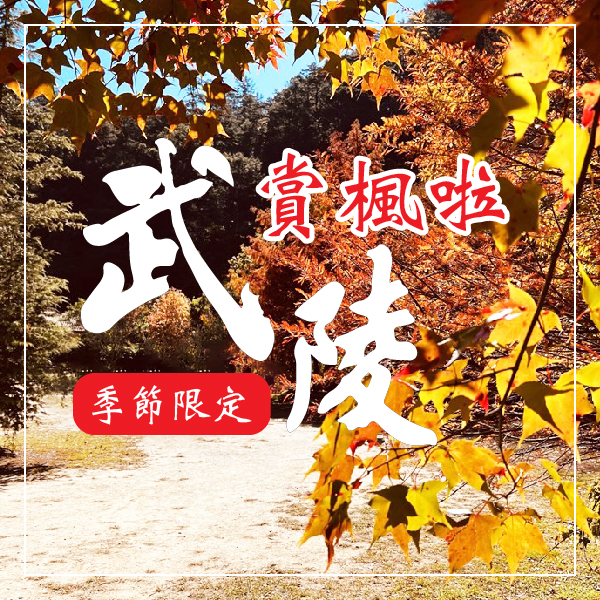 楓情萬種的星級饗宴｜武陵楓葉季VS宜蘭煙波.蘭陽二日