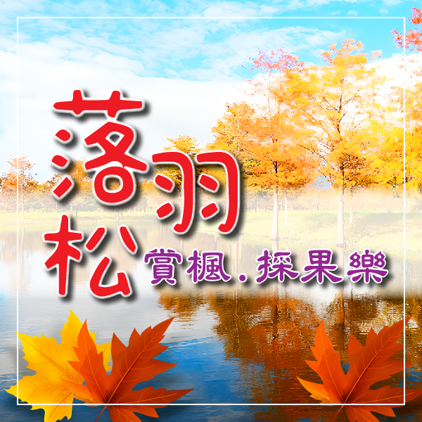 月眉落羽松.拱北殿賞楓.雙採果.雙老街薑麻園雲海2日