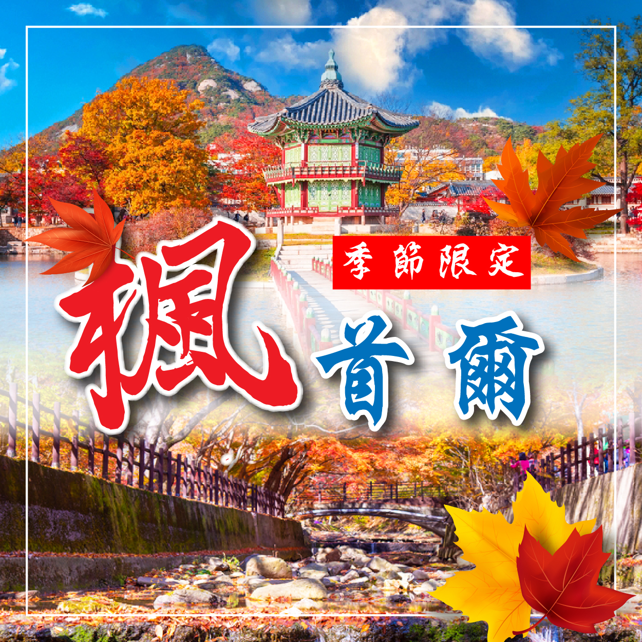 韓國賞楓限定團︱沿著紅葉，慢慢走進韓國的秋天5日