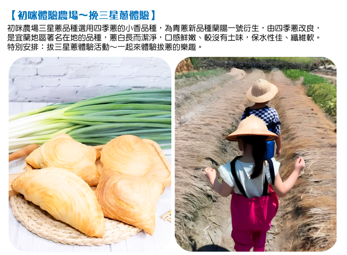 夢幻馬卡龍列車~邂逅海風.最新夢幻觀光列車行程特色圖片1