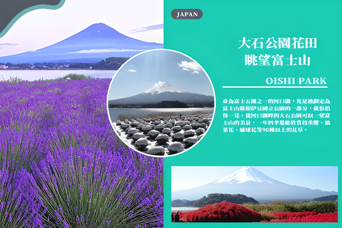 ♪FUN暑假♪東京歡樂五日富士野生動物園、鮮採水蜜桃、必吃敘敘苑燒肉、大石公園、東京一日自由行迪士尼麻布台之丘豐洲市場行程特色圖片1