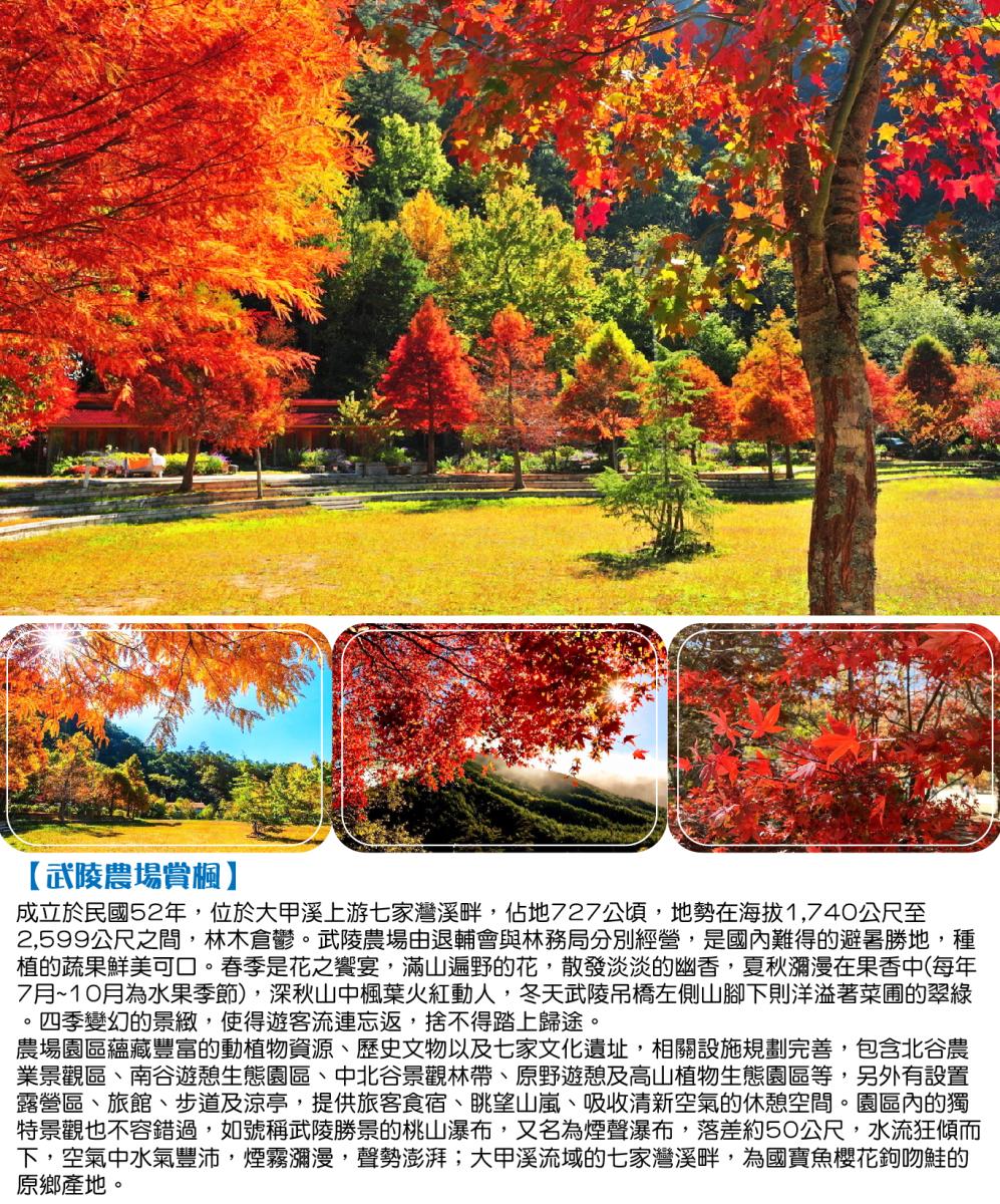 楓情萬種的星級饗宴｜武陵楓葉季VS宜蘭煙波.蘭陽二日行程特色圖片1