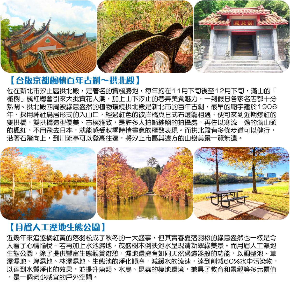 月眉落羽松.拱北殿賞楓.雙採果.雙老街薑麻園雲海2日行程特色圖片1
