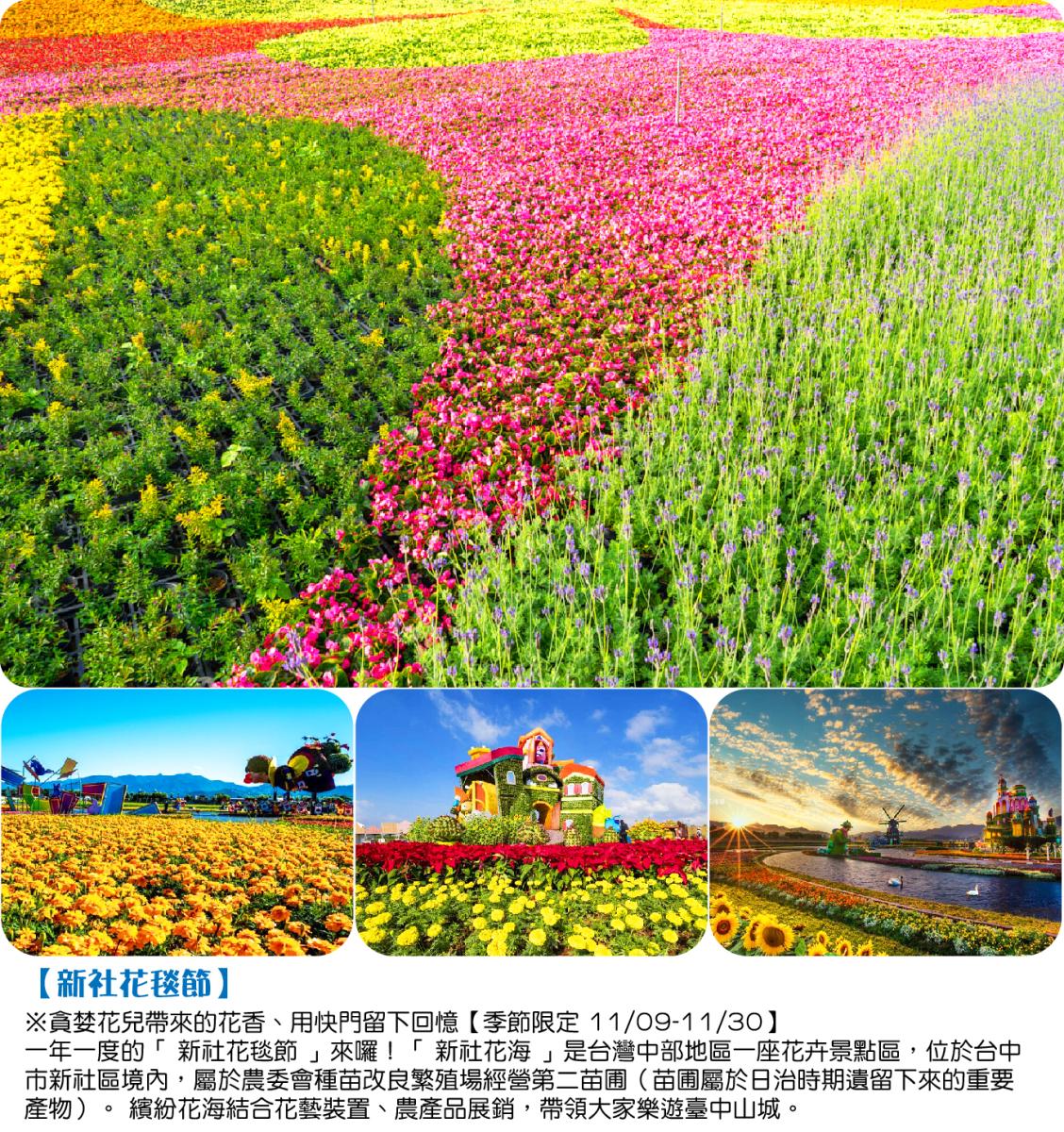 採果花毯金典之旅限定柑橘採果樂花卉城堡二日行程特色圖片1